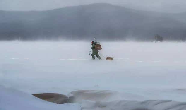 При каком ветре лучше клюет рыба - влияние направления, силы, порывов и резкой смены