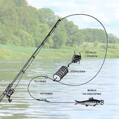 Ловля судака осенью с берега и лодки: где искать, на что ловить