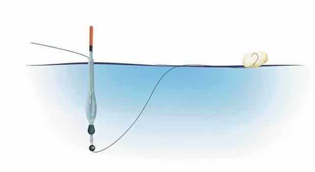 Личинка ручейника для рыбалки: где найти и как добыть