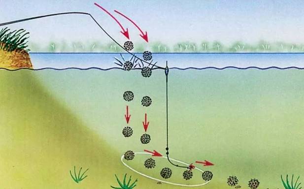 Лучшая прикормка для плотвы: самодельные рецепты и покупные смеси