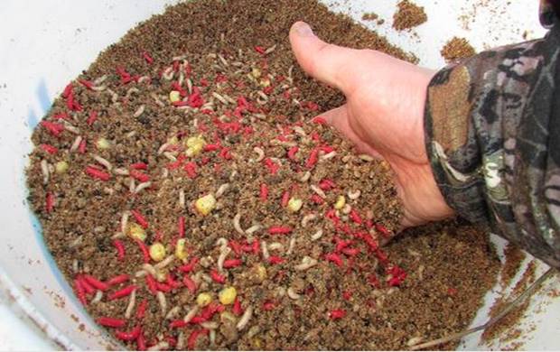 Лучшая прикормка для плотвы: самодельные рецепты и покупные смеси