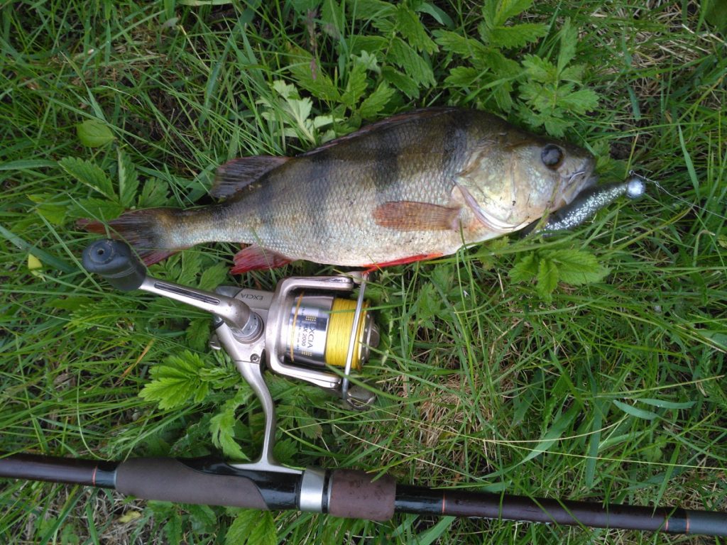 Обзор катушки Ryobi Excia MX 3000: технические характеристики, отзывы