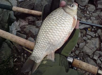 Рыбалка в Челябинской области и в окрестностях Челябинска - сезон 2025