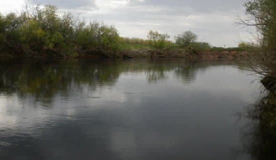 Толстолобик осенью: повадки, поиск и ловля