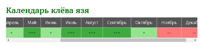 Как ловить язя осенью: снасти, приманки и тактика поиска