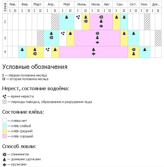 Места стоянки и повадки сома осенью, особенности ловли усатого и всеядного