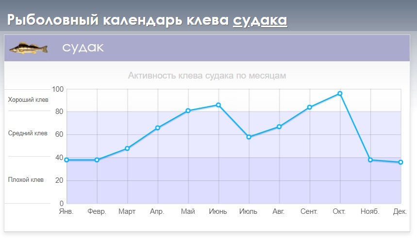 Ловля судака осенью с берега и лодки: где искать, на что ловить