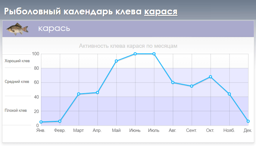 Рыбалка в мае на карася - как и на что ловить?