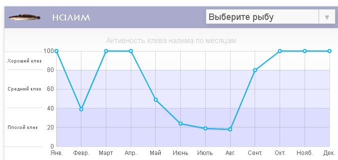 Как ловить налима осенью: снасти и наживки, живцовые оснастки