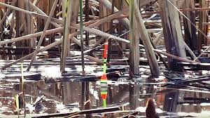 Ловля карася в весеннее время на поплавочную удочку