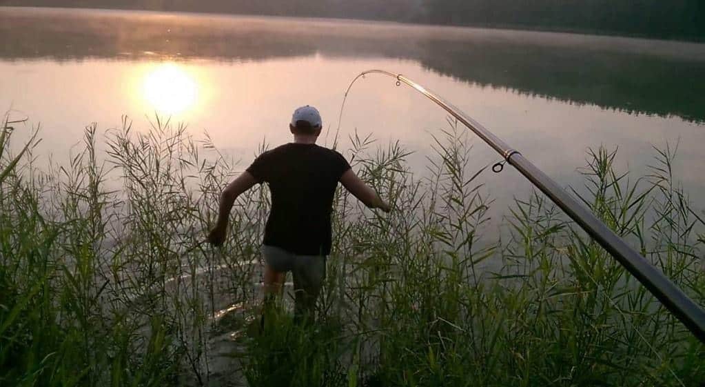 Рыбалка на карпа на поплавочную удочку летом, весной и осенью