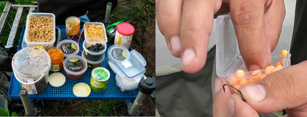 Рыбалка на карпа на поплавочную удочку летом, весной и осенью