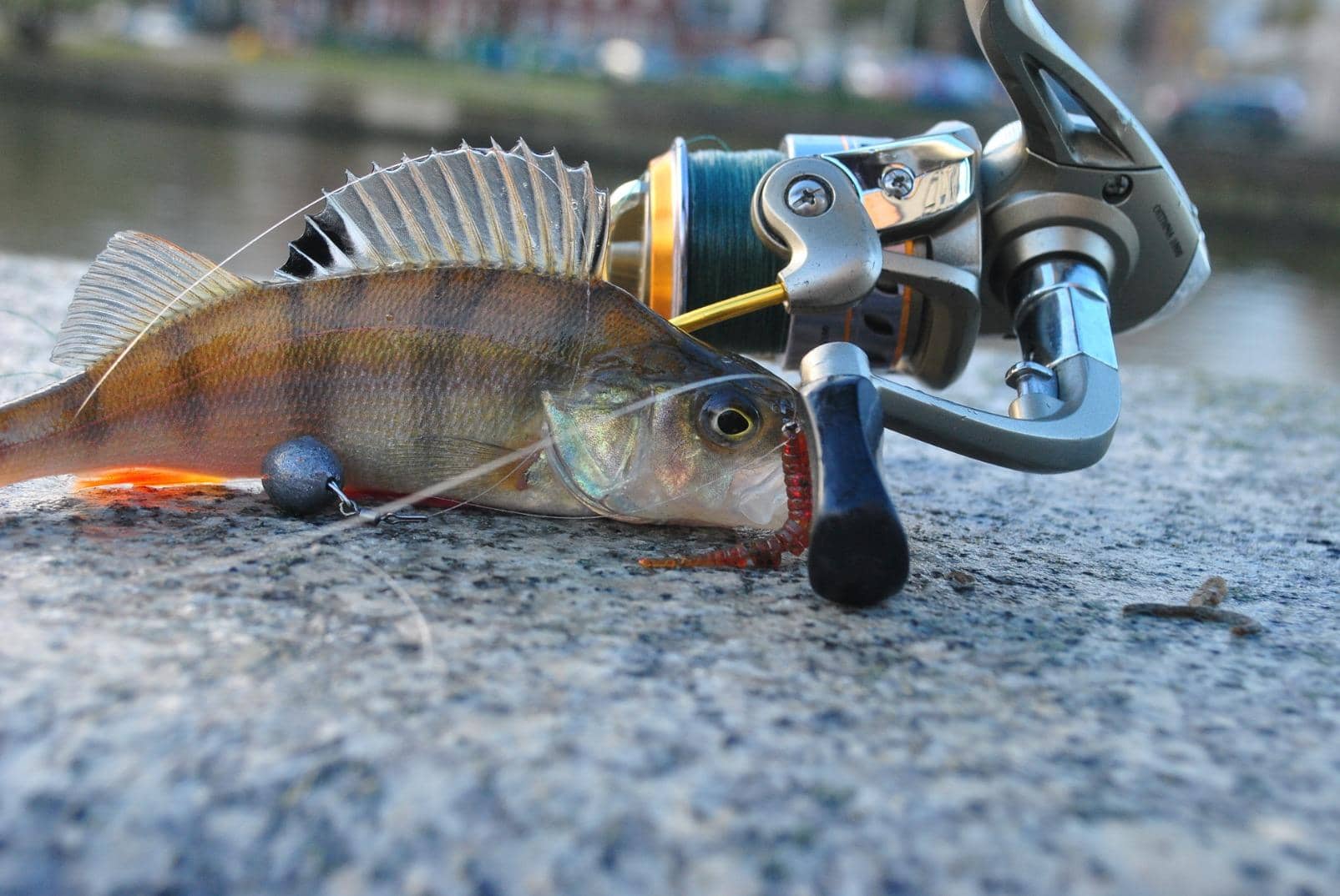 Микроджиг для начинающих: теория, практика и видео-советы экспертов