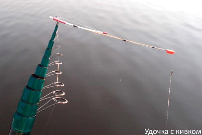 Ловля ротана осенью на спиннинг и другие снасти