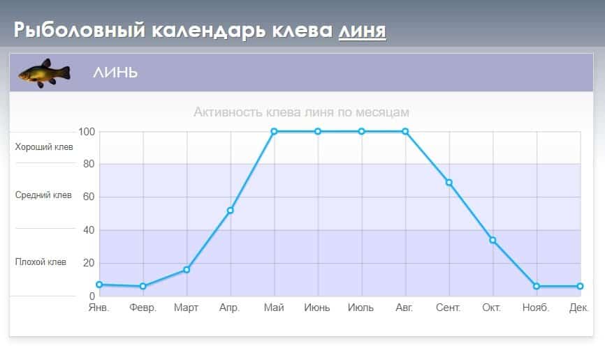 Ловля линя весной на поплавок, фидер, донку