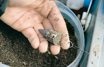 Когда уместна ловля на пикер, как собрать снасть, техника ловли