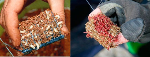 Ловля линя осенью: на поплавочную удочку, фидер и донку