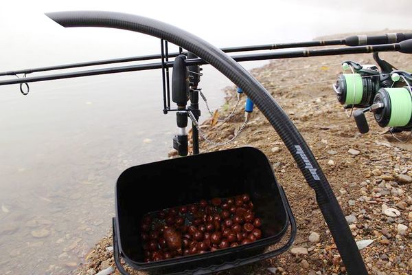 Средства для доставки прикормки при ловле карпа - кобры, рогатки