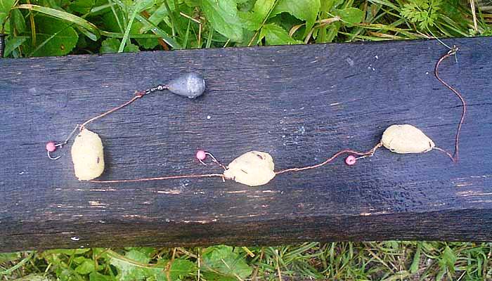 Снасть убийца карася: что это такое, варианты монтажа, как ловить