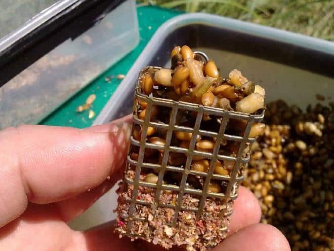 Ловля леща с лодки и берега на поплавок, донку, фидер