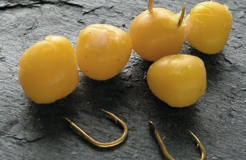 Закидушка для рыбалки своими руками: как сделать дома и на берегу реки