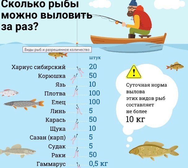 Осенний запрет на рыбалку в 2025 году - календарь и законодательство