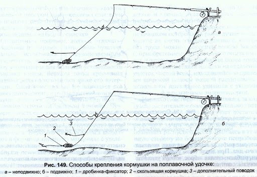 Рыбалка на карпа на поплавочную удочку летом, весной и осенью
