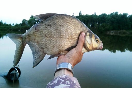 Рыбалка в Астрахани и Астраханской области в зависимости от сезона