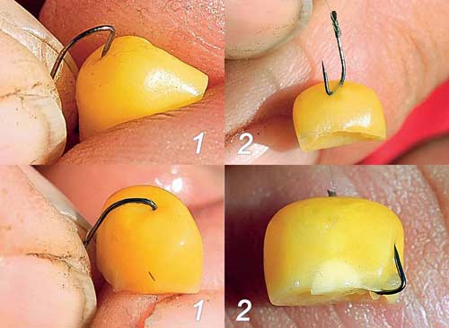 Ловля сазана и карпа на кукурузу: монтаж снасти, как приготовить зерна