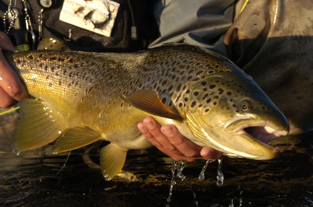 Рыбалка на Кольском полуострове - реальный фото отчет и карта рыболовных мест
