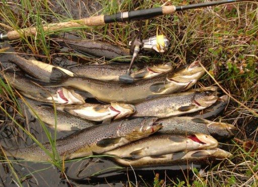 Рыбалка на Кольском полуострове - реальный фото отчет и карта рыболовных мест