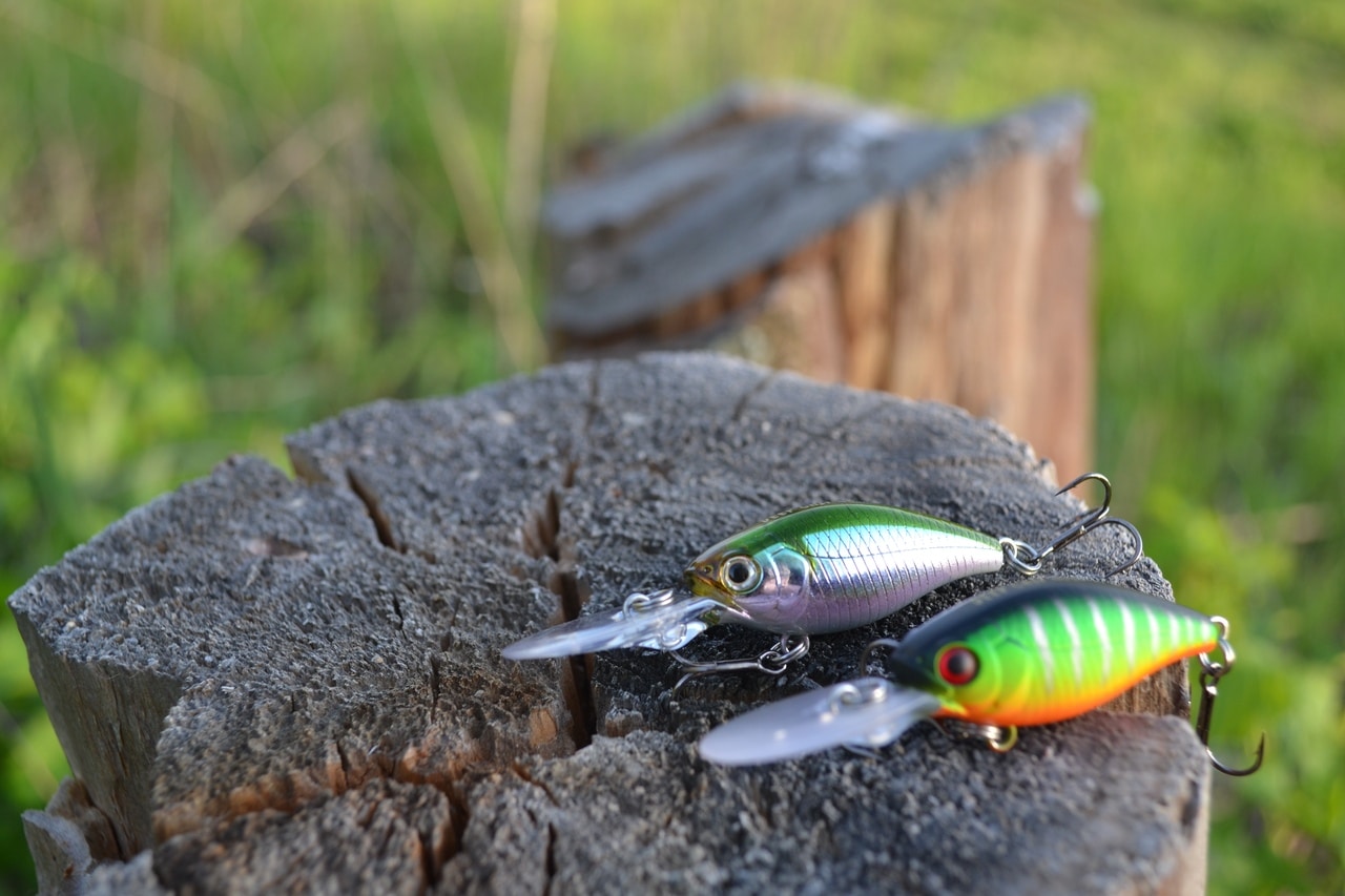 Ловля судака троллингом на воблеры: поиск, снасть и подача