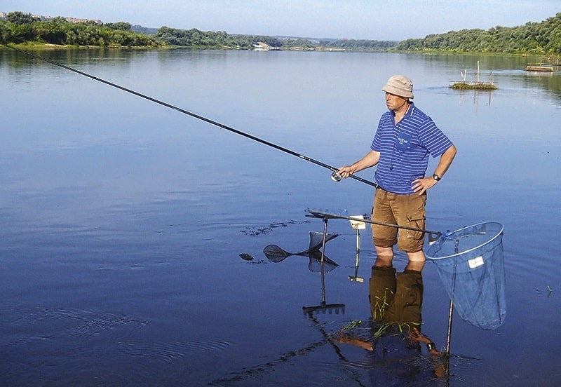 Болонская снасть, как она есть: выбор удочки и катушки, процесс лова