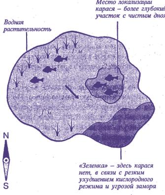 Успешная и эффективная рыбалка на карася: ловля весной, летом и осенью