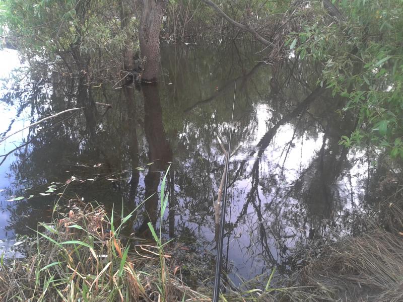 Боковой кивок для летней удочки - применение и оснастка