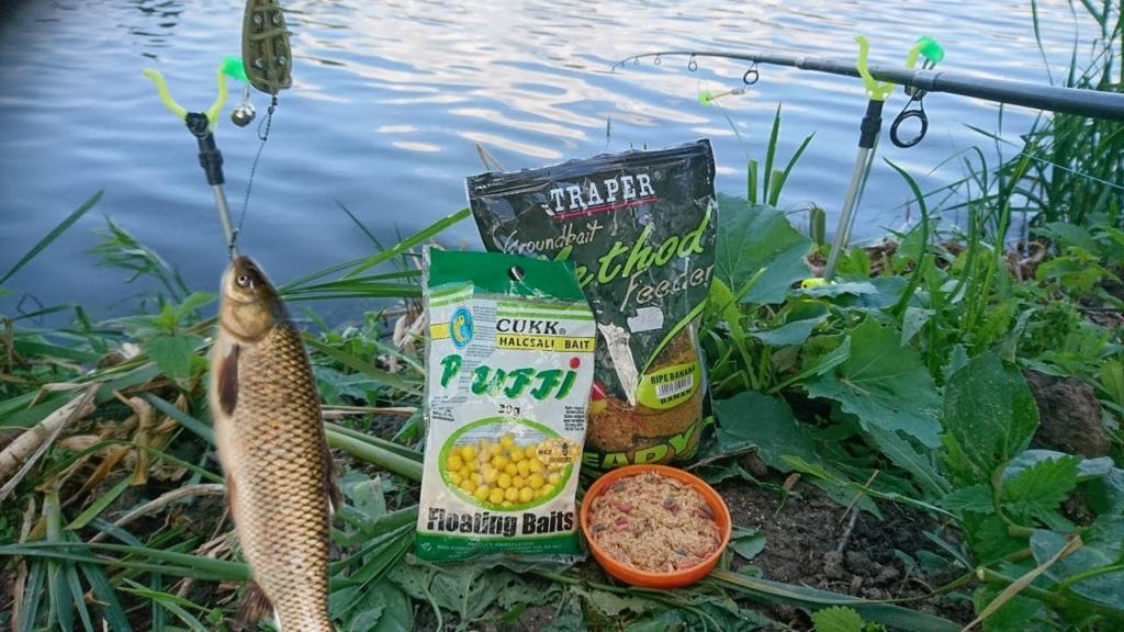 Как поймать белого амура и на что: снасти, наживки и советы