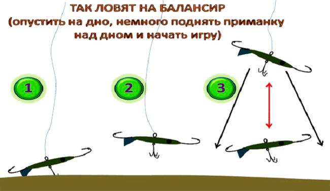 Ловля щуки на балансиры зимой: как выбрать лучшие, техника ловли со льда, снасть
