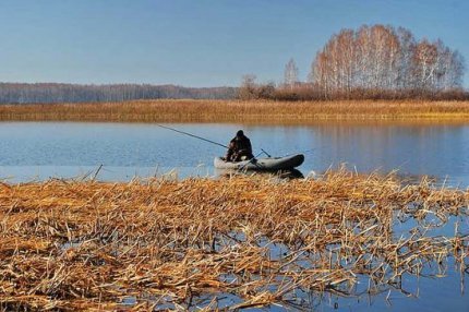 Места стоянки и повадки сома осенью, особенности ловли усатого и всеядного