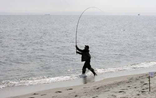 Лучшие телескопические карповые удилища: выбор модели