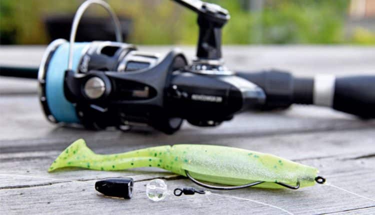 Каролинская оснастка для спиннинга: монтаж снасти, техника ловли