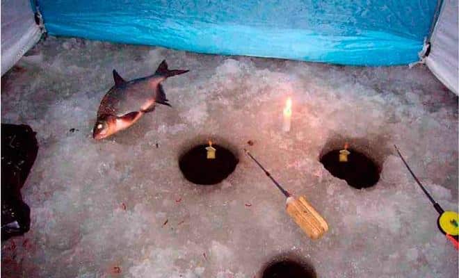 Ловля леща и подлещика зимой со льда днем и ночью: снасти, где искать, на что ловить