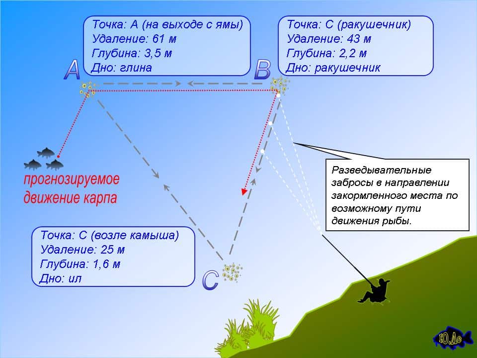 Ловля карпа на фидер для начинающих: оснастка, правильный монтаж, тактика