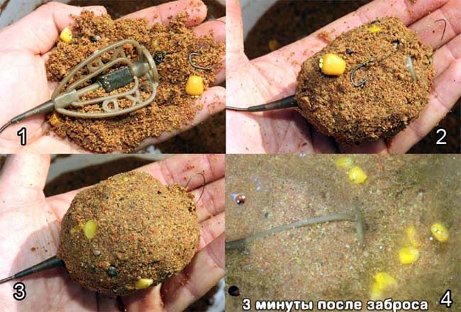 Ловля карпа летом в июне, в июльскую жару и в августе