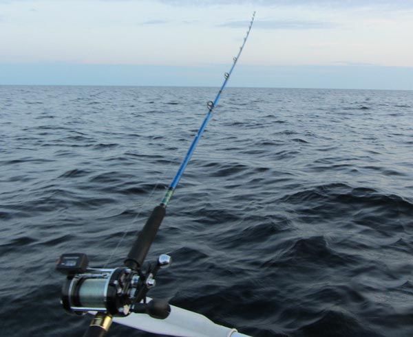 Ловля судака троллингом на воблеры: поиск, снасть и подача