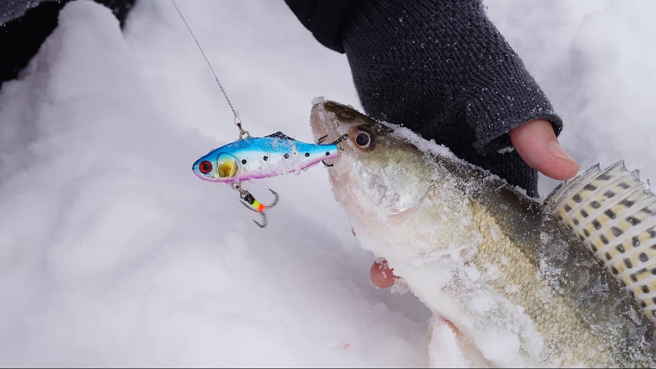 Ловля судака на ратлины зимой: техника ловли, лучшие модели ратлингов