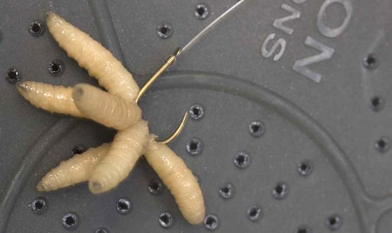 Как опарыша насадить на крючок и одеть на мормышку - наглядное фото