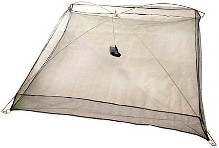 Как поймать осенью живца, сохранить и перевезти на место рыбалки