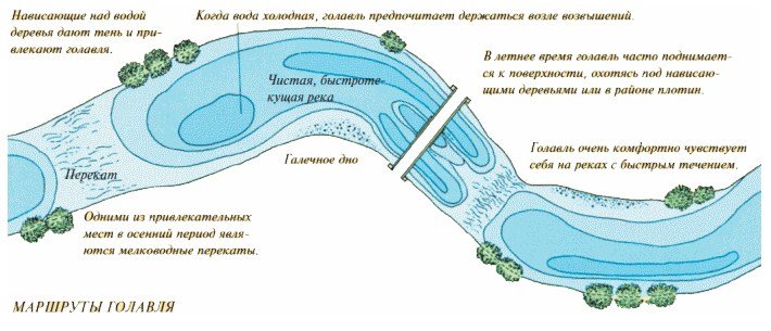 Ловля на джиг осенью с берега и с лодки: тактика и приманки