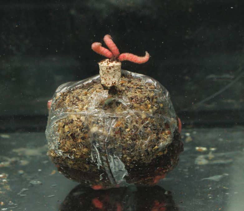 Лучшие ПВА материалы, используемые в карпфишинге и для рыбалки в целом