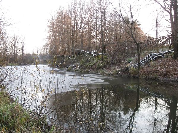 Ловля налима осенью на донку: где искать, снасти, наживки, тактика